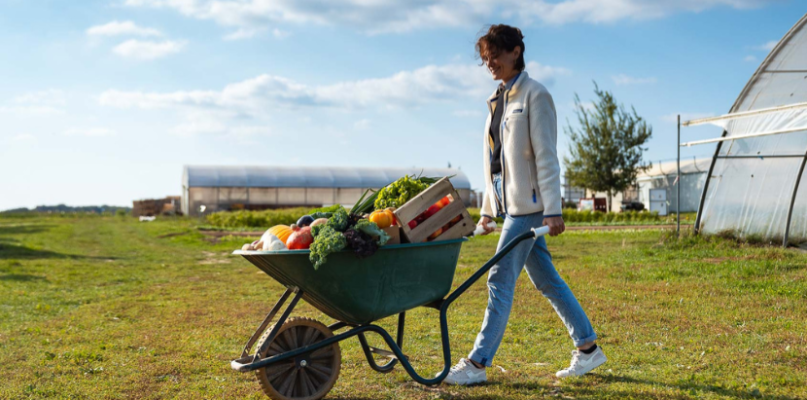 Cueilleuse qui pousse une brouette pleine de fruits et légumes