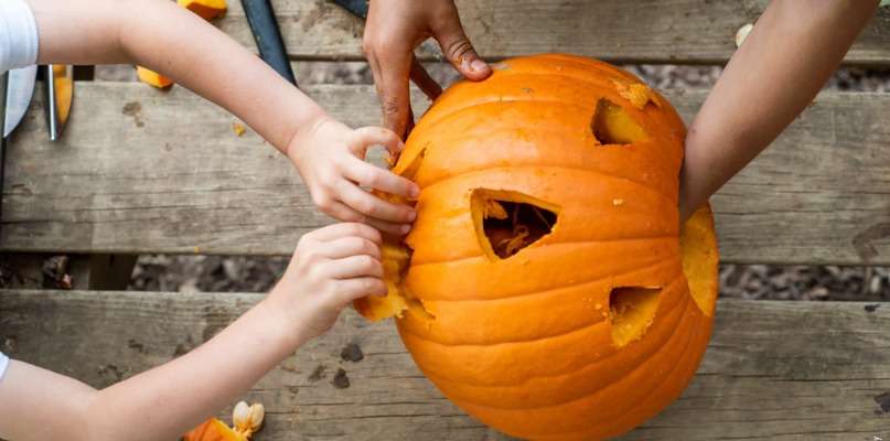 Atelier sculpture d'Halloween à la Cueillette de l'Aragnon