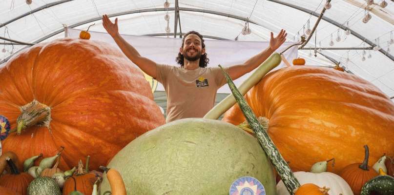 Ateliers familiaux de sculpture sur citrouilles