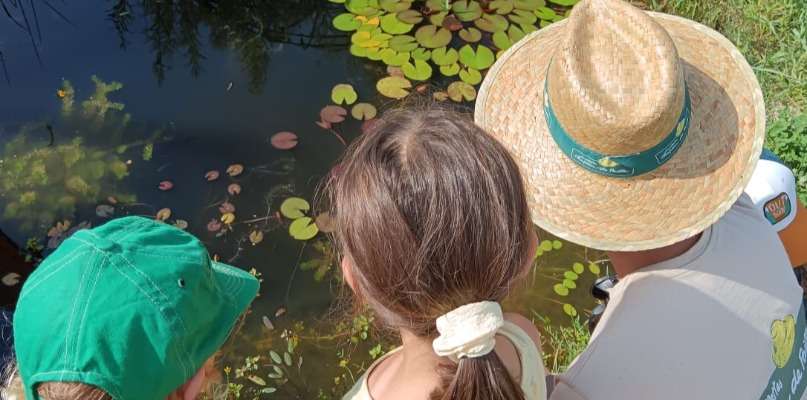 Le programme de cet été