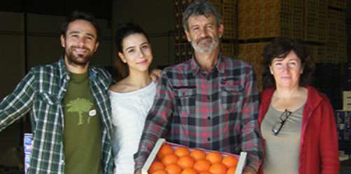 Des oranges BIO à l'épicerie! La famille Morell en BIO à Valence