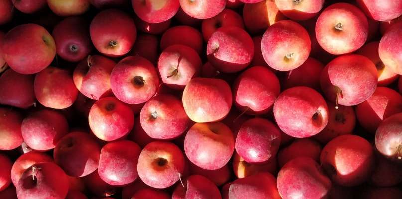 Fête de la pomme