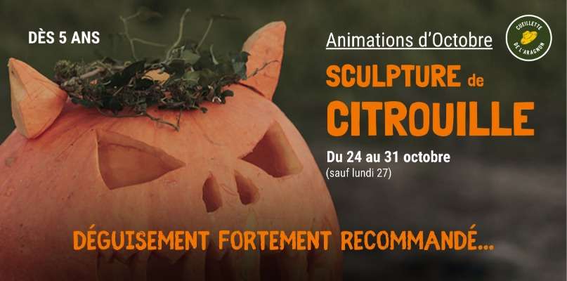 Les animations d'Octobre